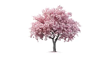 La Taille des arbres fruitiers Etampes