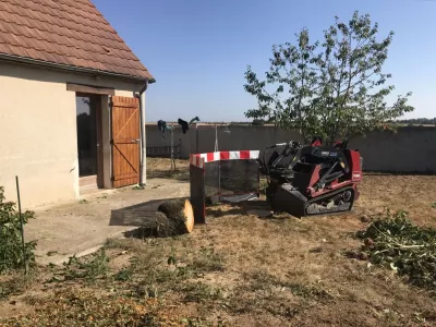 Rognage de souche après abattage Pithiviers 45
