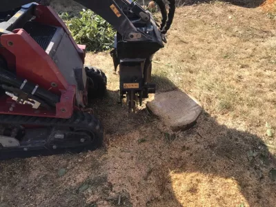 Rognage de souche avec rogneuse compacte en location